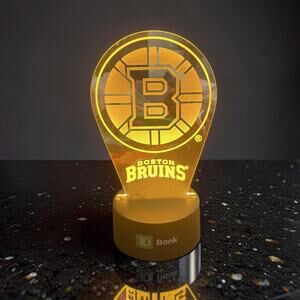 Boston Bruins LED Desk Light TD Garden NHL Hockey Lamp Night Light NWOT